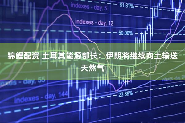 锦鲤配资 土耳其能源部长：伊朗将继续向土输送天然气