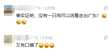 河南配资网 低脂版“全能选手”，广东人吃鸡又有新花样