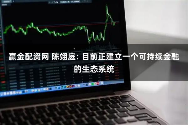 赢金配资网 陈翊庭: 目前正建立一个可持续金融的生态系统