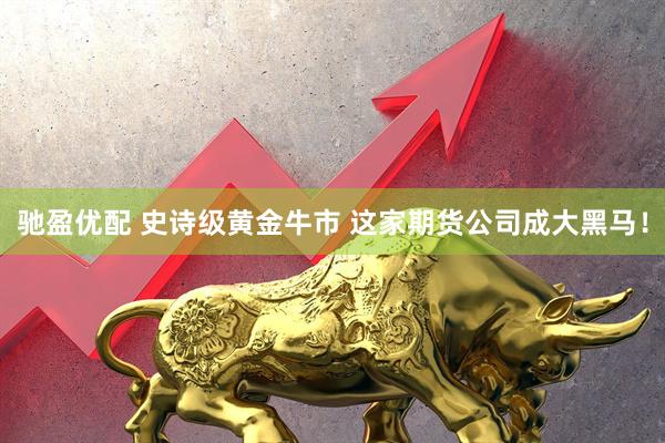 驰盈优配 史诗级黄金牛市 这家期货公司成大黑马！